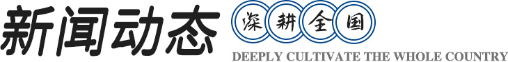 新闻动态