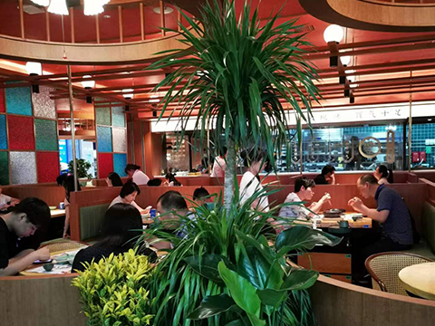 欣大店人气场景